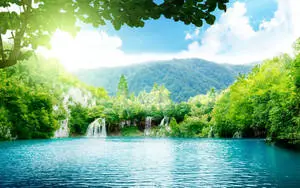 Rejuvenate Your Soul Under the Calm Falls of the Forest