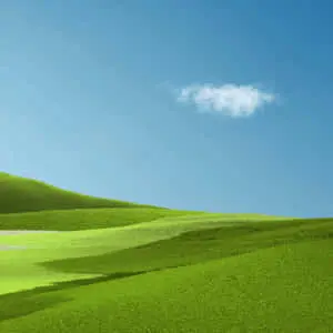 خلفية بسيطة من العشب والسماء