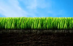 Green Grass Sky Landscape Picture