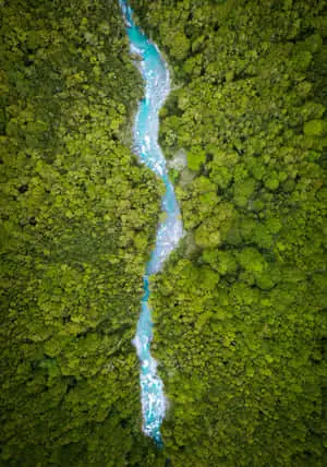 "Discover the beauty of nature in this lush green landscape."
