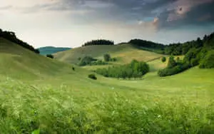 "Rebuilding the Natural Earth" 