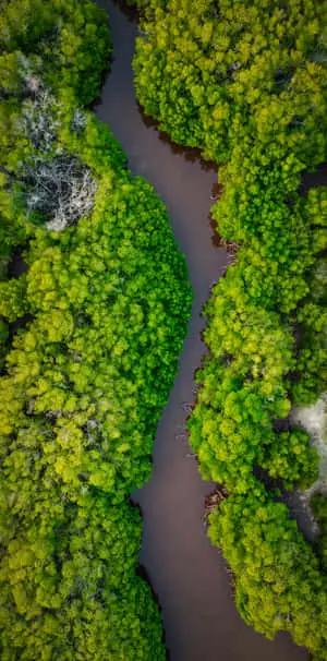 A peaceful landscape of nature's paradise
