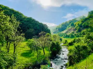 نهر يمر عبر وادٍ أخضر مورق