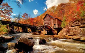 Grist Mill Sunny Autumn