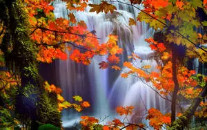 HD Beautiful Waterfall In Autumn