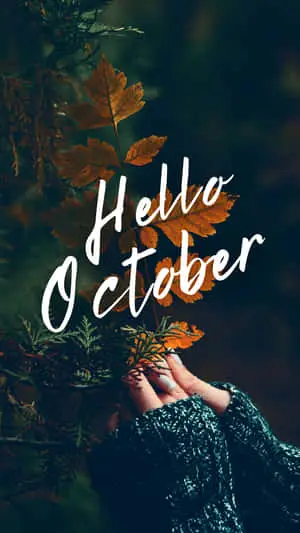 Hello October Story