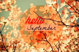 Hello September Cherry Blossom Flowers