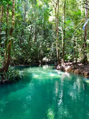 Hidden Lake In Forest