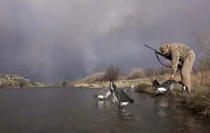 Man In Hunting Camo Petting Duck
