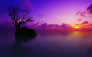 Small Island Beach Indigo Sunset