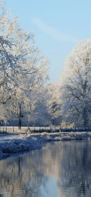 Calm River iPhone XS Max Winter Background
