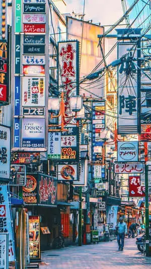 Take in the natural beauty of Japan