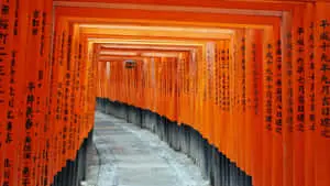 Japanese Inari Shrine For Desktop