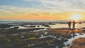 Journey Reef Point Beach Sunset