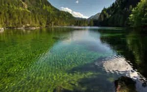 "Take a Moment and Enjoy the Reflection of Nature" 