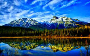 Tranquil Lake View