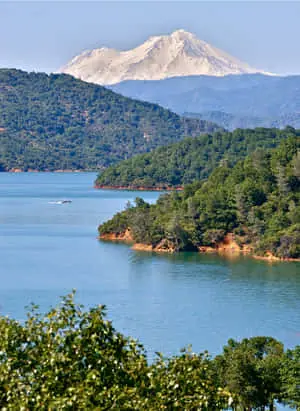 A picturesque Lake surrounded by lush green forests