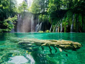 Lake With Floating Log