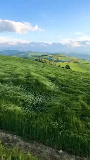 صورة أرض شمالية