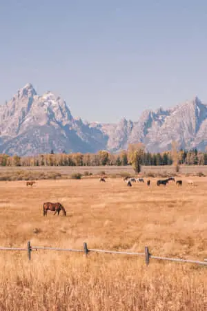 Breathtaking Land Picture