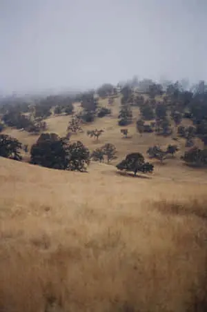 Tantalizing Land Picture