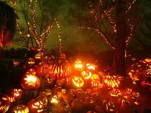 Lanterns Under Trees Fall Halloween