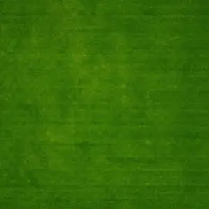 Lawn texture