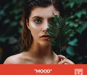 mood - lightroom presets