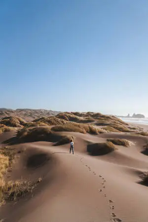 حب وحيد يمشي في الصحراء