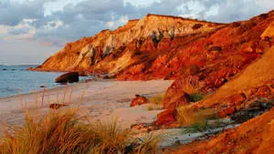 MA Autumn Sandy Beach