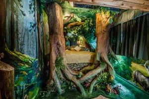 a bedroom with a tree bed and a tree trunk