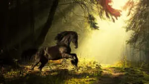 Majestic Prancing Horse