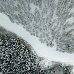 Majestic Winter Wonderland