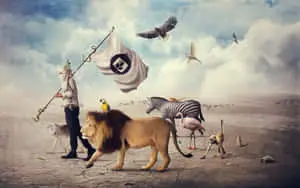 Man Lead Animals In Dessert