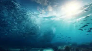 Massive Fish Swarm Under Radiant Ocean Surface	