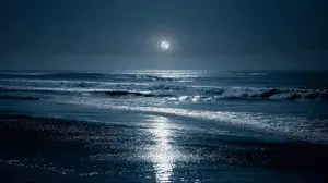 Moonlit Serenity
