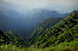 Mountain Fog