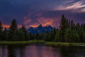 The Beauty of Nature in the Mountains