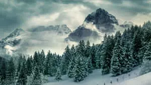 Taking in the beauty of a snow-topped mountain