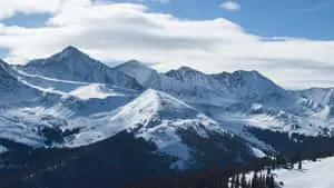 a group of people skiing down a snowy mountain