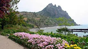 Image  Magnificent Rocky Mountain View
