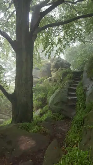 Nature Green Pictures