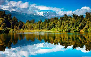 A tranquil view of nature by a calm lake and clear blue sky