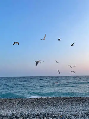 الاسترخاء في نيس، فرنسا