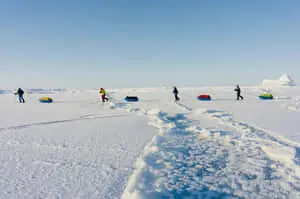 People Dragging Their Sleds At The North Pole Picture