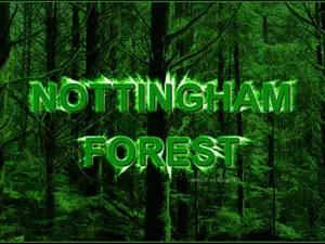 Nottingham Forest FC Green