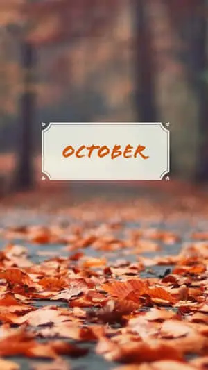 October Aesthetic Shallow Focus