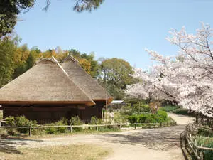 Osaka Japanese Farm House