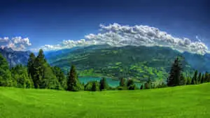 Admiring the serene beauty of nature 