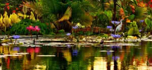 Paint Liked Pond View
